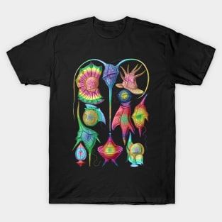 Ernst Haeckel  Rainbow  Peridinea Algae T-Shirt